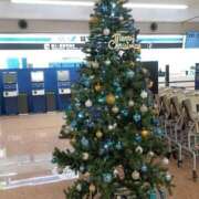 ヒメ日記 2025/12/17 12:09 投稿 ゆめか(AF無料) FResh(素人・可愛い)都城店