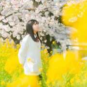 ヒメ日記 2026/01/30 14:50 投稿 ひなの【素人女子】 Select(セレクト)