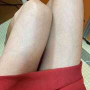 ヒメ日記 2025/03/05 10:36 投稿 和田真由子(わだまゆこ) 姫路マダム大奥