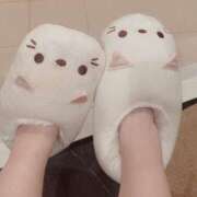 ヒメ日記 2025/04/12 22:17 投稿 さら カワサキEROTIC（ソープランド）