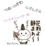 ヒメ日記 2025/03/01 12:05 投稿 れん★マッサージ Precede Girls&Ladies 上田佐久店