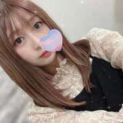 ヒメ日記 2025/04/16 11:28 投稿 みほ 京都BOOK MARK（ブックマーク）