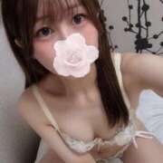 ヒメ日記 2025/07/26 13:08 投稿 みほ 京都BOOK MARK（ブックマーク）