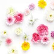 ヒメ日記 2025/04/07 09:58 投稿 和田　はるか 未熟な人妻