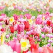 ヒメ日記 2025/04/15 09:58 投稿 和田　はるか 未熟な人妻