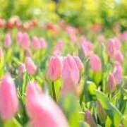 ヒメ日記 2025/09/24 09:58 投稿 和田　はるか 未熟な人妻