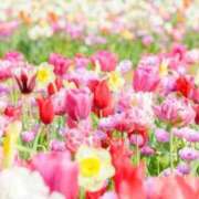 ヒメ日記 2025/10/13 09:58 投稿 和田　はるか 未熟な人妻