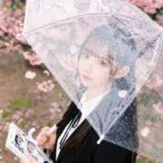 ヒメ日記 2026/03/26 11:32 投稿 あこ 女帝