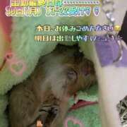 ヒメ日記 2024/12/11 00:26 投稿 さき club さくら日本橋店