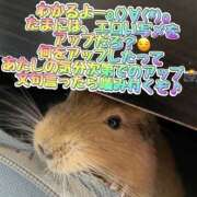 ヒメ日記 2024/12/20 00:36 投稿 さき club さくら日本橋店