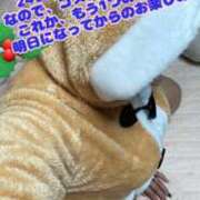 ヒメ日記 2024/12/23 23:16 投稿 さき club さくら日本橋店