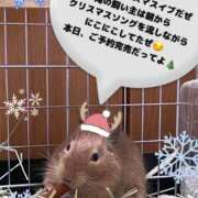 ヒメ日記 2024/12/24 13:09 投稿 さき club さくら日本橋店