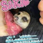 ヒメ日記 2025/01/18 01:26 投稿 さき club さくら日本橋店