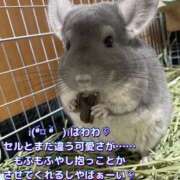 ヒメ日記 2025/01/20 12:36 投稿 さき club さくら日本橋店