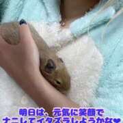 ヒメ日記 2025/01/27 22:36 投稿 さき club さくら日本橋店