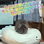 ヒメ日記 2025/01/31 13:06 投稿 さき club さくら日本橋店