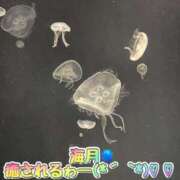 ヒメ日記 2025/02/20 13:06 投稿 さき club さくら日本橋店