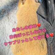 ヒメ日記 2025/02/26 12:36 投稿 さき club さくら日本橋店