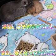 ヒメ日記 2025/03/19 13:06 投稿 さき club さくら日本橋店