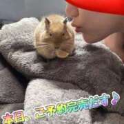 ヒメ日記 2025/03/29 13:06 投稿 さき club さくら日本橋店