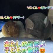 ヒメ日記 2025/04/14 01:46 投稿 さき club さくら日本橋店