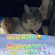 ヒメ日記 2025/04/22 12:51 投稿 さき club さくら日本橋店