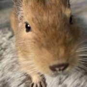 ヒメ日記 2025/05/09 13:06 投稿 さき club さくら日本橋店