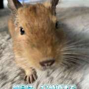 ヒメ日記 2025/05/21 00:46 投稿 さき club さくら日本橋店