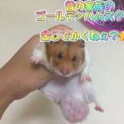 ヒメ日記 2025/05/23 14:26 投稿 さき club さくら日本橋店