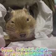 ヒメ日記 2025/06/06 13:06 投稿 さき club さくら日本橋店