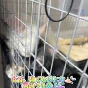 ヒメ日記 2025/07/07 00:16 投稿 さき club さくら日本橋店