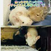 ヒメ日記 2025/07/09 13:07 投稿 さき club さくら日本橋店