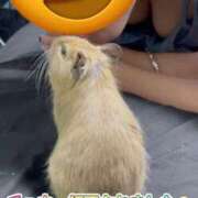 ヒメ日記 2025/08/05 13:06 投稿 さき club さくら日本橋店