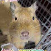 ヒメ日記 2025/08/10 13:06 投稿 さき club さくら日本橋店