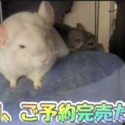 ヒメ日記 2025/08/14 13:16 投稿 さき club さくら日本橋店