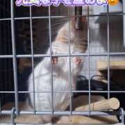 ヒメ日記 2025/08/22 13:07 投稿 さき club さくら日本橋店