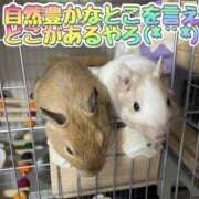 ヒメ日記 2025/08/26 12:56 投稿 さき club さくら日本橋店