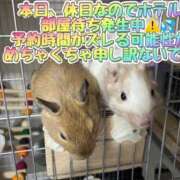 ヒメ日記 2025/08/30 13:06 投稿 さき club さくら日本橋店