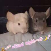 ヒメ日記 2025/09/05 02:36 投稿 さき club さくら日本橋店