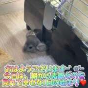 ヒメ日記 2025/09/11 13:06 投稿 さき club さくら日本橋店