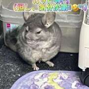 ヒメ日記 2025/09/21 10:08 投稿 さき club さくら日本橋店