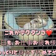 ヒメ日記 2025/10/06 22:06 投稿 さき club さくら日本橋店