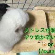 ヒメ日記 2025/10/20 23:13 投稿 さき club さくら日本橋店