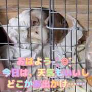 ヒメ日記 2025/11/02 13:06 投稿 さき club さくら日本橋店