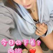 ヒメ日記 2025/11/07 13:06 投稿 さき club さくら日本橋店