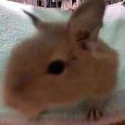 ヒメ日記 2025/11/11 13:06 投稿 さき club さくら日本橋店