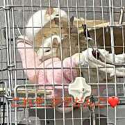 ヒメ日記 2025/11/19 13:06 投稿 さき club さくら日本橋店