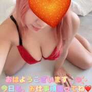 さき さき（clubさくら日本橋店） club さくら日本橋店