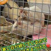 ヒメ日記 2026/01/25 10:06 投稿 さき club さくら日本橋店