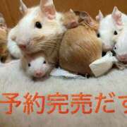 ヒメ日記 2026/02/10 12:26 投稿 さき club さくら日本橋店